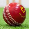 FORTRESS County Match Crown Cricket Balls [Red/White/Pink] - MCC Regulation (Junior, Red Pack of 6) view 1