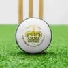 FORTRESS County Match Crown Cricket Balls [Red/White/Pink] - MCC Regulation (Women's, White Pack of 24)