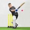 FORTRESS County Match Crown Cricket Balls [Red/White/Pink] - MCC Regulation (Junior, White Pack of 24) view 2