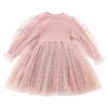 aromm Flower Little Girls Party Dress Winter Fall Long Sleeves Dresses with Tutu Skirt Pink(1-2 T,90) view 1