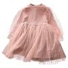 aromm Flower Little Girls Party Dress Winter Fall Long Sleeves Dresses with Tutu Skirt Pink(1-2 T,90) view 2