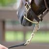 Tack Shack of Ocala Leather Chifney Shank, Chifney Shank, 12" Chifney Shank, Leather Lead, Leather Chifney Shank for Horses, Leather Lead for Horses, Leather Shank view 2