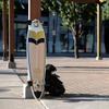 Stella Longboard 42 Pintail Quill Longboard Complete view 2