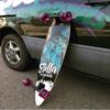 Stella Longboard 46 Pintail Plume Longboard Complete view 3