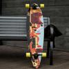 Stella Longboard 46 Pintail Skater Things - Van Flip Longboard Complete view 4