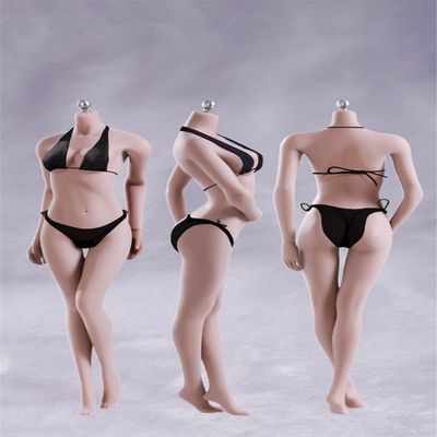 Fremego 1/6 Scale Female Body,12inch Female Super Flexible Medium Bust Seamless Action Figure Body Collection (S01A Pale Skin)