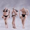Fremego 1/6 Scale Female Body,12inch Female Super Flexible Medium Bust Seamless Action Figure Body Collection (S01A Pale Skin) view 1