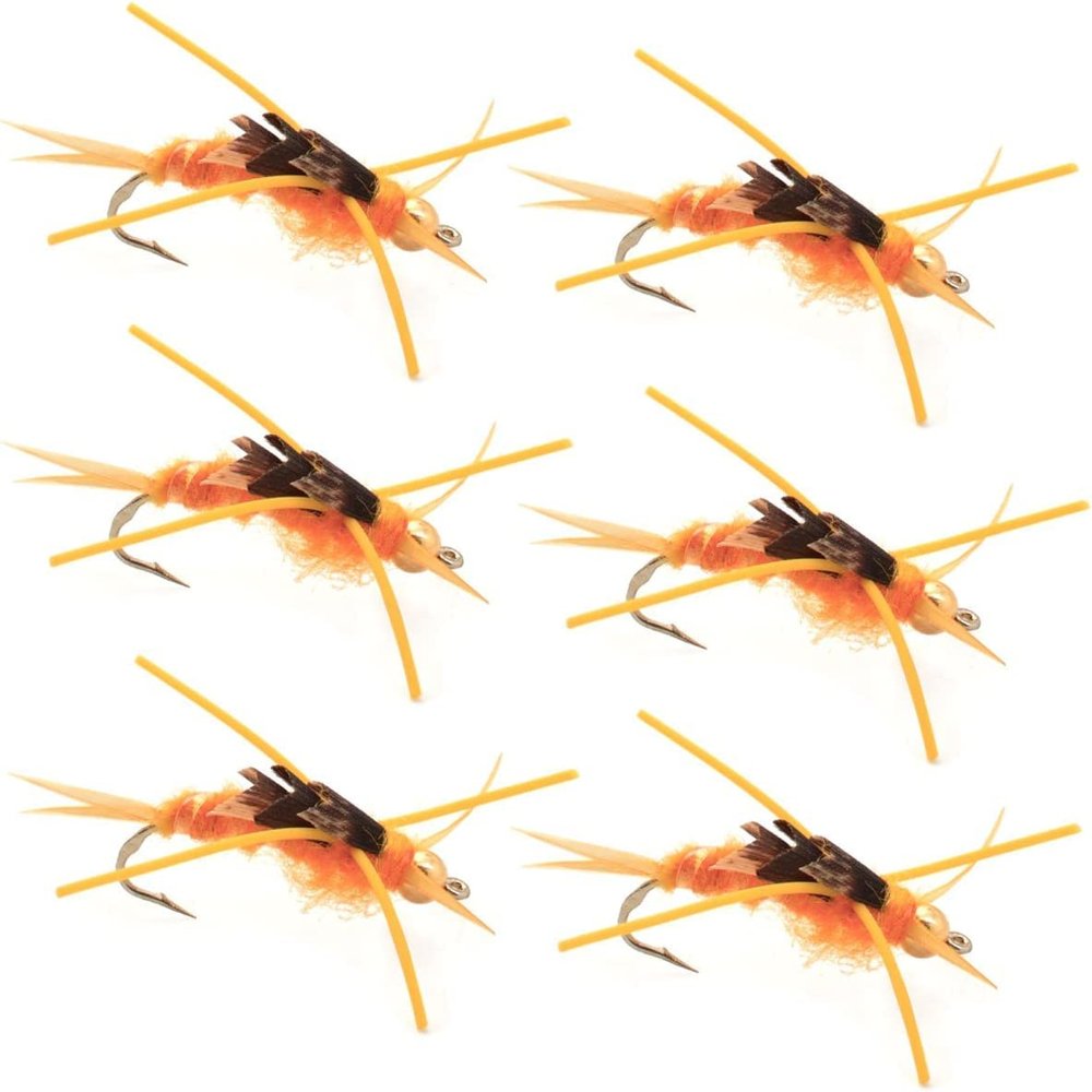 The Fly Fishing Place Tungsten Bead Head Nymph Fly Fishing Flies - Kaufmann's Golden Stone Fly with Rubber Legs - Stonefly Wet Fly - 6 Flies Hook Size 10