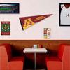 College Flags & Banners Co. Minnesota Gophers Pennant Flag and Wall Tack Mount Pads view 3