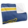 Fort Valley State University Blanket, 50"x60" Primary Logo Silky Touch Super Soft Throw Blanket view 3