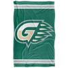 Georgia Gwinnett College Blanket, 36"x58" Primary Logo Silky Touch Super Soft Throw Blanket view 2