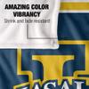 La Salle University Blanket, 50"x60" Primary Logo Silky Touch Super Soft Throw Blanket view 4