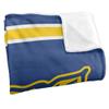 Fort Valley State University Blanket, 36"x58" Primary Logo Silky Touch Super Soft Throw Blanket view 3