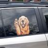 12" Perforated Ride-A-Long See-Thru Window Decal attaches to Rear Side car Window. Made in USA. (Golden Retriever) view 4