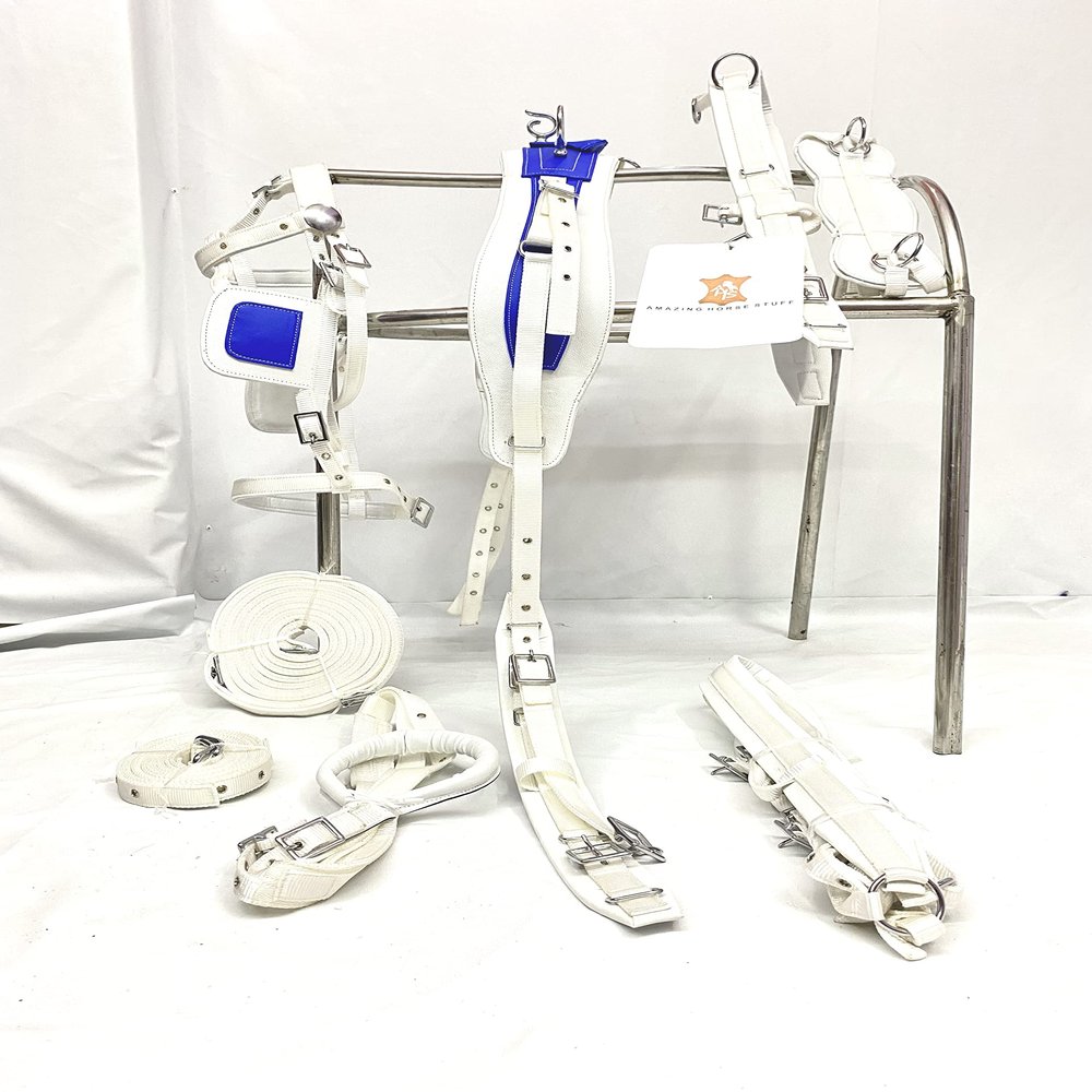 AMAZING HORSE STUFF Nylon Horse Driving Harness in Blue & White for Single Horse cart (Cob)
