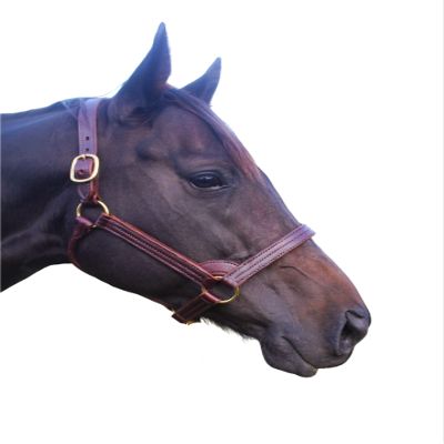 Tack Shack of Ocala Stallion Halter, with Customized Engraved Name Plate Option Halter for Horse, Leather Halter, Leather Halter for Horses, Halters for Horses, Halters (with Stays)
