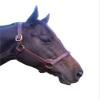Tack Shack of Ocala Stallion Halter, with Customized Engraved Name Plate Option Halter for Horse, Leather Halter, Leather Halter for Horses, Halters for Horses, Halters (with Stays) view 1