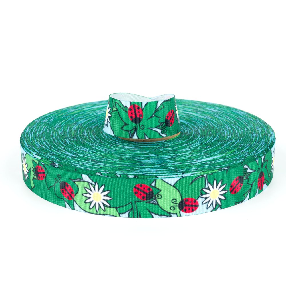 Country Brook Design - Ladybugs Picnic Grosgrain Ribbon (5/8 Inch, 10 Yards)