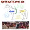 AMAZING HORSE STUFF Nylon Driving Harness for Horse Cart, Heart Shaped Studd & Sparkling Stones on Browband Full, Cob, Pony, Shetland, Mini Brown (Full) view 3