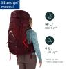 Osprey Aura AG LT 50L Women's Backpacking Backpack, Koseret/Darjeeling Spring Green, WXS/S view 2