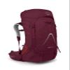 Osprey Aura AG LT 65L Women's Backpacking Backpack, Antidote Purple, WXS/S view 1