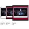 Colorado Avalanche Banner Raising - 42x15.5-inch Single Mat, Select Framed NHL Picture by Blakeway Panoramas view 2
