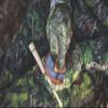 THE GRIND Pot Calls, Turkey Pot Calls Perfect for Novice and Pro Hunters, Multiple Designs & Sizes, Bark'n Betty II view 3