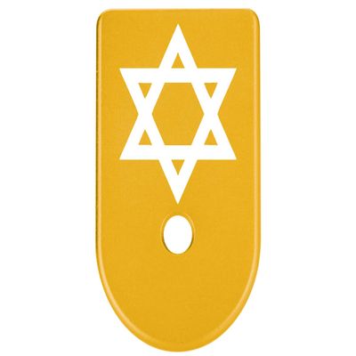 NDZ Performance Magazine Base Plate Finger Extension for Glock Gen 1-5 9MM .40 .357 SIG Laser Engraved Anodized Aluminum in Gold - Star of David Mogen Dovid