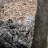 The Grind MO Bottomland Camo Turkey Gloves, Lightweight Touchscreen Compatible Camo Gloves for Turkey Hunting view 4