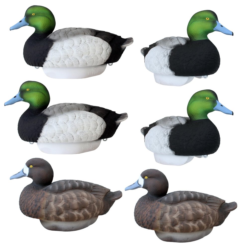 Bluebill Duck Decoys by Heyday  Ultra-Light 100% HydroFoam | Durable, Realistic Design | 6 Pack of Duck Hunting Decoys