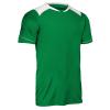 Attacker Soccer Jersey, Adult Medium, Kelly Green view 1