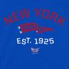 Retro Pennant Baby Apparel for New York Football Fans (NB-7T) (Royal Toddler Tee, 5/6T) view 2