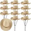 JaGely 12 Pcs Straw Cowboy Hat for Men Women Western Party Sun Protection Hat Wide Brim Cowgirl Costume Accessories for Summer Beaches Outdoor Adventures Fishing Riding Camping Garden Yard Work,Beige view 1