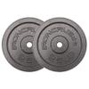 Standard 1 inch Cast Iron Weight plates 25lbs - Superior Hammertone Finish, Wider Range 1.25 - 50 lbs Weights. Ideal for Dumbbell Handles, 1in Barbells, Adjustable Kettlebell Handles - Sold in Pairs view 1