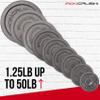 Standard 1 inch Cast Iron Weight plates 25lbs - Superior Hammertone Finish, Wider Range 1.25 - 50 lbs Weights. Ideal for Dumbbell Handles, 1in Barbells, Adjustable Kettlebell Handles - Sold in Pairs view 2