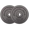 Standard 1 inch Cast Iron Weight plates 10lbs - Superior Hammertone Finish, Wider Range 1.25 - 50 lbs Weights. Ideal for Dumbbell Handles, 1in Barbells, Adjustable Kettlebell Handles - Sold in Pairs view 1
