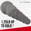 Standard 1 inch Cast Iron Weight plates 10lbs - Superior Hammertone Finish, Wider Range 1.25 - 50 lbs Weights. Ideal for Dumbbell Handles, 1in Barbells, Adjustable Kettlebell Handles - Sold in Pairs view 2