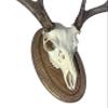 Classy Oval Design European Deer Skull Wall/Table Plaque - NO Drilling Required (Recessed Barnwood) view 2