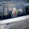 12" Perforated Ride-A-Long See-Thru Window Decal attaches to Rear Side car Window. Made in USA. (Light It Up) view 3