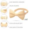 Bow Tie House Boys Classic Pre-Tied Bow Tie Formal Solid Tuxedo (Medium, Cream) view 2