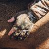First Lite Trigger Glove view 4