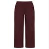 renvena Boys School Uniform Straight-Fit Flat-Front Dress Pants Burgundy 4 Years view 3