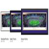 Baltimore Ravens Football - 40.25x13.75-inch Standard Framed Print by Blakeway Panoramas view 2