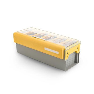 Edge Frog Box