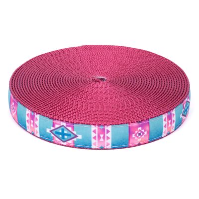 Country Brook Design - Albuquerque on Rose Nylon Webbing (1 Inch, 50 Yards)