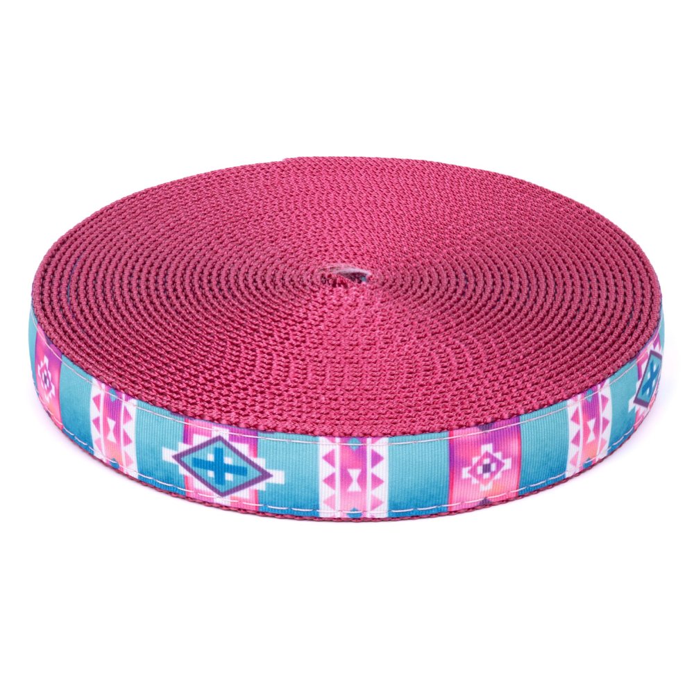 Country Brook Design - Albuquerque on Rose Nylon Webbing (1 Inch, 50 Yards)