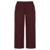 Hularka Kids Boys Gentleman Suit Pants Elastic Waistband Belt Loop Pants for Wedding Birthday Party Burgundy 14 Years view 1