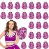 Hanaive 24 Pcs Pom Poms Cheerleading Cheerleader Spirited Cheer Baton Handle Metallic Foil for Sports Team Party Dance Cheering(Rose Red, Silver) view 1
