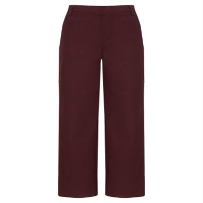 Hularka Kids Boys Gentleman Suit Pants Elastic Waistband Belt Loop Pants for Wedding Birthday Party Burgundy 2 Years