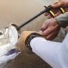 Apex Hook Remover view 2